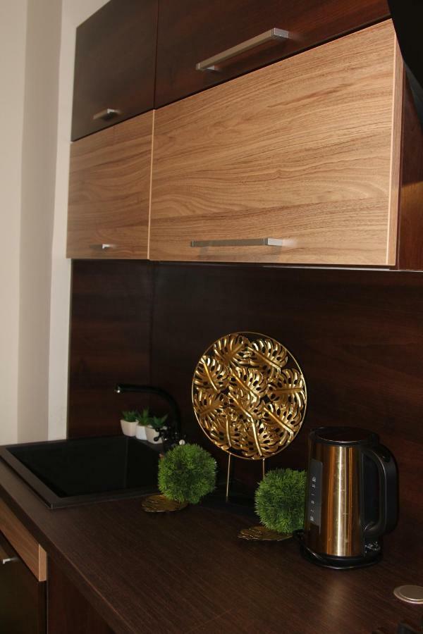 Mox Downtown Apartman Ντέμπρετσεν Εξωτερικό φωτογραφία